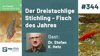 myfishorg  Der Dreistachlige Stichling  Fisch des Jahres Dr Stefan K Hetz [upl. by Nyladam]