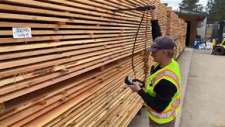 Kiln Drying Lumber Process [upl. by Elaina]