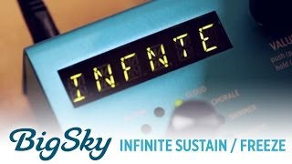 Strymon BigSky Reverb  Infinite Sustain  Freeze demo [upl. by Seena883]