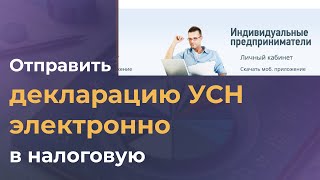 ИНСТРУКЦИЯ как ПРАВИЛЬНО сдать 250 форму для ИП в 2024 году Всеобщее декларирование в Казахстане [upl. by Miarhpe]