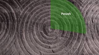 Nutrien What Is Potash [upl. by Aicnerolf]