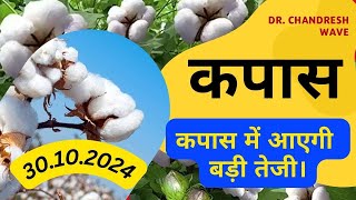 Kapas na bhav  30102025  કપાસના ભાવ2025  Information about cotton crop price  Commodity Trend [upl. by Jared774]