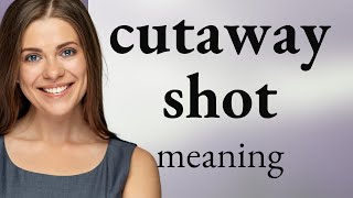 Understanding quotCutaway Shotquot in Film and Video [upl. by Fi]