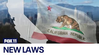 New California laws that take effect July 1 2024 [upl. by Rochkind235]