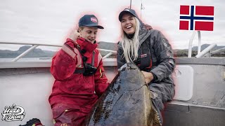 Halibut Fishing  How to catch BIG Halibut in Norway [upl. by Dnalrah]