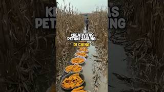 Kreativitas Petani China Inovasi Alat dan Teknologi Canggih untuk Pertanian Modernquot [upl. by Nhabois]