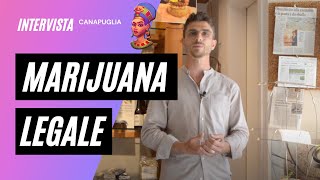 Come coltivare legalmente la Marijuana [upl. by Seugirdor]