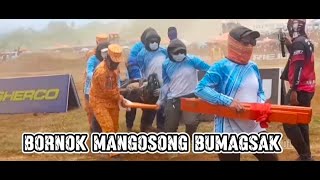 Bornok Mangosong masama ang bagsak [upl. by Hplar]