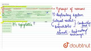 Read the following four statement carefully i Ventral respiratory group of neurons of medulla [upl. by Mhoj]