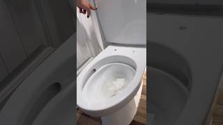 installing the best commode money can buy [upl. by Yaffit]