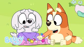 Passe le paquet 🎁  Épisode complet Saison 3  Bluey Français Chaîne Officielle [upl. by Hew]