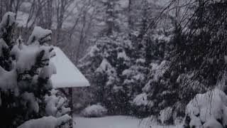 Paolo Orlandi  Lenta la neve fiocca  Coro voci bianche Garda Trentino [upl. by Netaf]