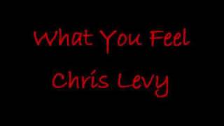 What You Feel Chris Levy [upl. by Concettina]