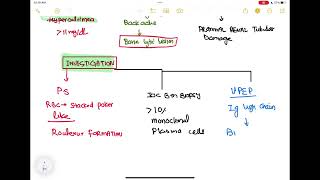 multiple myeloma haematology 76 First Aid USMLE Step 1 in UrduHindi [upl. by Nirhtak]