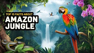 Amazon Jungle EXPERT Reveals Mind Blown Facts l mind blown facts [upl. by Truc]