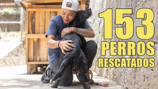 Visité con ADOPTIST este REFUGIO para PERROS en el Estado de México  150 perros de TODAS LAS RAZAS [upl. by Dihaz507]