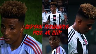 GEDSON FERNANDES FREE 4K CLİP [upl. by Yffub]