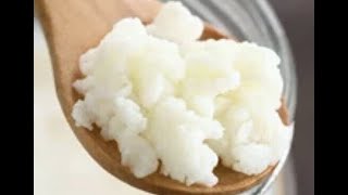 How to cultivate  grow your own kefir grains [upl. by Jim]