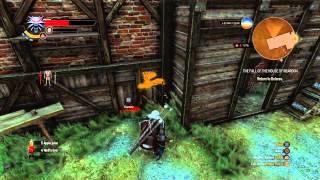 The Witcher 3 The Fall Of House Reardon chest location [upl. by Hamas]