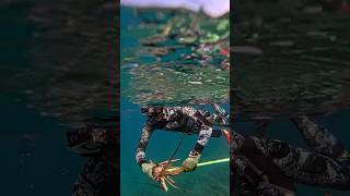 masitarzan • I missed fishing a lot📸callmesea 🖤 spearfish fishing lobster [upl. by Cut]