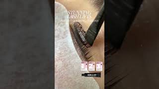 Lash V  Lash Lift Tint Eyebrow Tint Brow amp Lash Dye lashlifting lashliftandtint lashlift [upl. by Diaz]