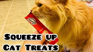 FIRST TRY DELECTABLES SQUEEZE UP CAT TREATS [upl. by Sollie]