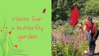 Grow a Butterfly Garden with butterfly attracting plants amp flowers  The Gardenettes [upl. by Ashlee]