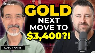 Gold Surging The FED Is LYING To YOU Real Estate Impact  LoboTiggre [upl. by Osy]