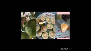 CITRUS SINENSIS USES  NARINJA PANDU USES  DIABETES  CONSTEPATION  YUMMY FRUIT   SKINTONE [upl. by Yleoj569]