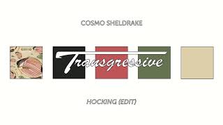 Cosmo Sheldrake  Hocking Edit [upl. by Anwahsit778]