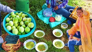 🍈CUATOMATES Buscando en el CERRO para una Rica Salsa en la SIEMBRA [upl. by Emlin]