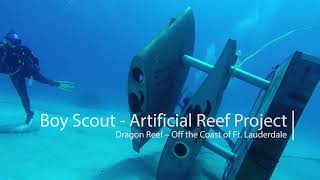 Stabilizers form an artificial reef [upl. by Flannery]