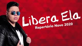 LIBERA ELA  VERSÃO BREGADEIRA  MC ROGERINHO  GRAVE [upl. by Chong]