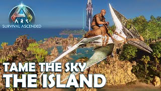 Taming A Pteranodon and Falling A Lot  Ark Survival Ascended  S1 EP3 [upl. by Akinajnat442]