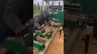 Milling a small poplar log on my woodlandmills HM126 Sawmill [upl. by Anana]