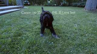 Canon 1635mm f4L IS USM Lens – Image Stabilization Test [upl. by Cardon946]