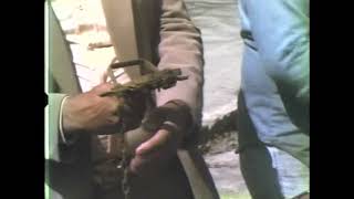 Dennis Treitler skinning muskrat raccoon and nutria and more Los Isleños Feb 29 1984 Tape 16 [upl. by Arreyt]