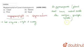 Megasporophyll of Cycas is homologous to [upl. by Elo]