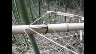 déclencheur sur piege arbalete crossbow trap trigger [upl. by Fiorenza]