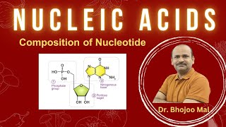 Nucleic Acids  Nucleotide  Class 11 Biology  by Dr Bhojoo Mal [upl. by Ardisi881]