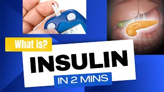 Insulin  How insulin works in 2mins [upl. by Ilrebma591]