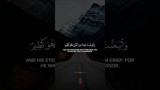 Surah yousuf Saad Al Ghamdi القرآنالكريم [upl. by Josy264]