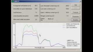 Liberty Leaf Level Radiative Transfer Simulations  Part 1 of 2 [upl. by Glynnis]