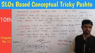 20 Neuron structure Dendrites  cell body  Axon  Myelin sheath biology in pashto [upl. by Okubo150]