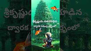 Dwaraka Under Sea Mystery shorts telugu DwarakaUnderSea [upl. by Paget511]