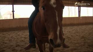 Horsemanship mit Reinhard Mantler [upl. by Wolfson]