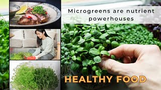 Microgreen Cultivation Method for Beginners [upl. by Hospers]