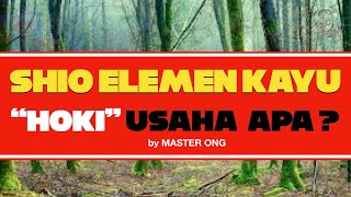 SHIO ELEMEN KAYU itu HOKI usaha apa  PEKERJAAN atau USAHA yang HOKI untuk SHIO ELEMEN KAYU [upl. by Rotciv796]