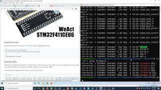 MicroPython on STM32F411 Black Pill  Build and Flash  Install [upl. by Jacobina129]