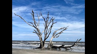 Botany Bay the Boneyard Beach [upl. by Eynahpets]